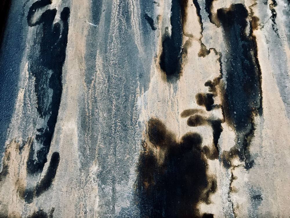Schimmelbefall an einer Wand wird mit Lampe inspiziert